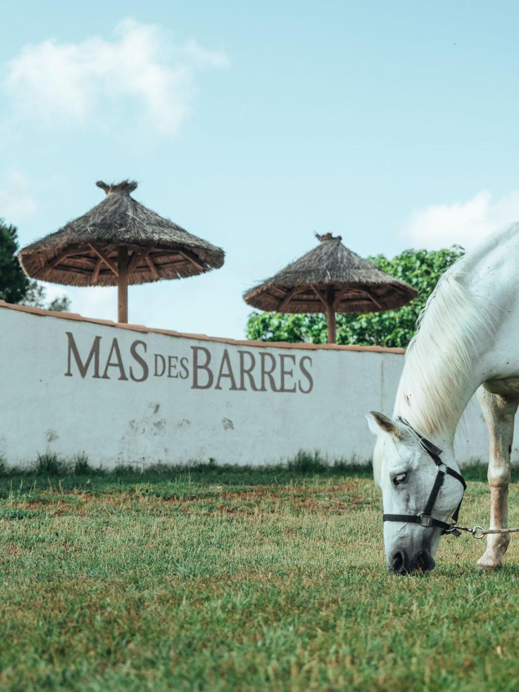 Hotel Mas Des Barres Saintes-Maries-de-La-Mer Exterior foto