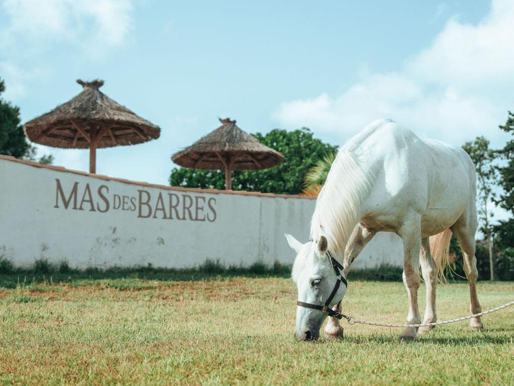 Hotel Mas Des Barres Saintes-Maries-de-La-Mer Exterior foto